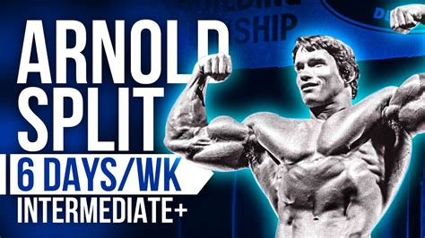 Arnold Split 6